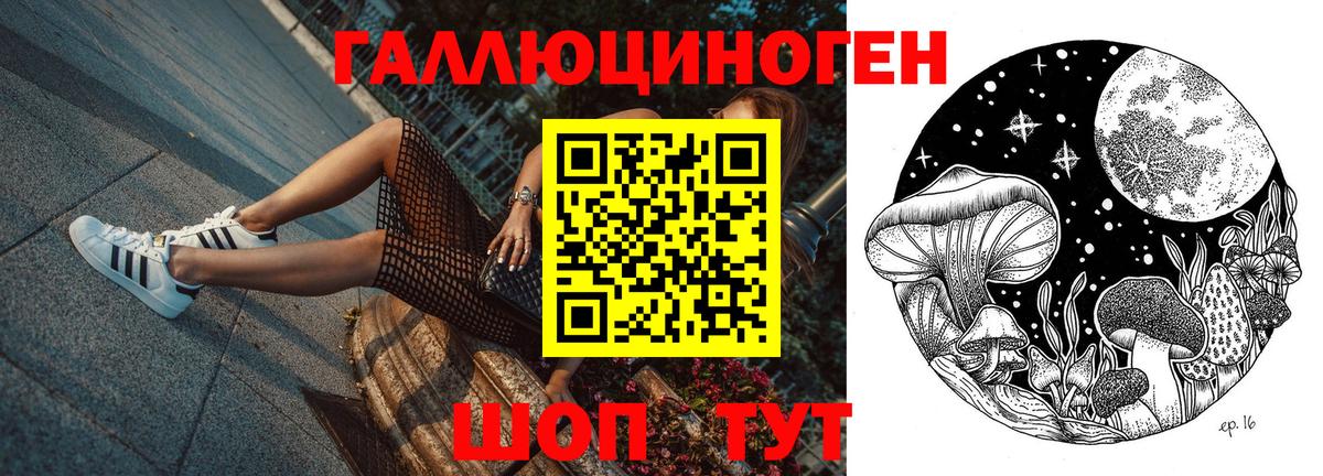 Псилоцибиновые грибы Cubensis  Галлюциногенные грибы Cubensis  Лесосибирск  Вход с VPN 