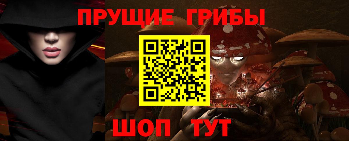 Галлюциногенные грибы Cubensis Лесосибирск